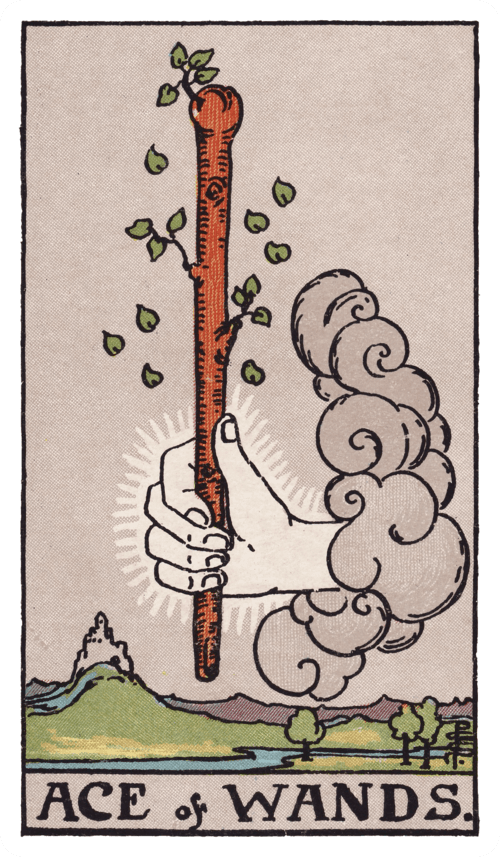 Ace of Wands tarot card